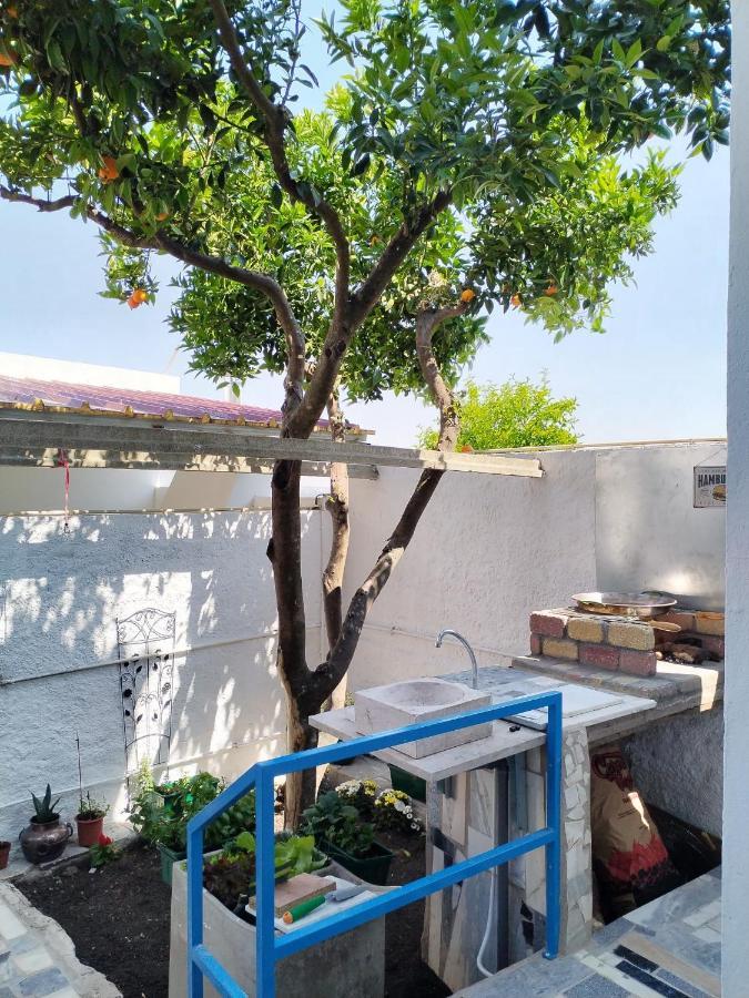 Apartament Casa Da Laranjeira Montargil Zewnętrze zdjęcie